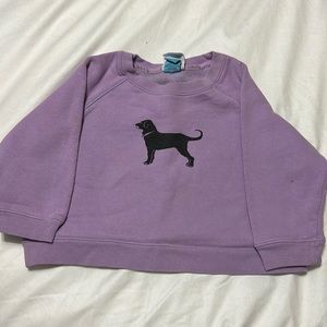 The Black Dog Purple Sweatshirt